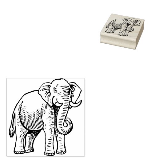 Indische olifant rubberstempel (Gestempeld)