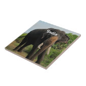 Indische olifant tegeltje (Zijkant)