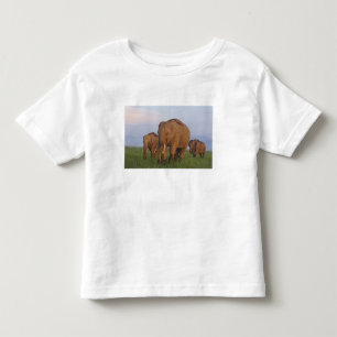 Indische olifanten in de graslanden kinder shirts