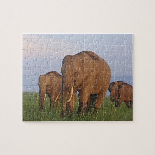 Indische olifanten in de graslanden legpuzzel (Horizontaal)