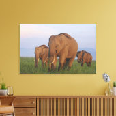 Indische olifanten in het grasland canvas afdruk (Insitu (Woonkamer))