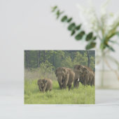 Indische olifantenfamilie briefkaart (Staand voorkant)
