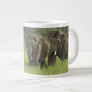 Indische Olifantenfamilie Jumbo Mok