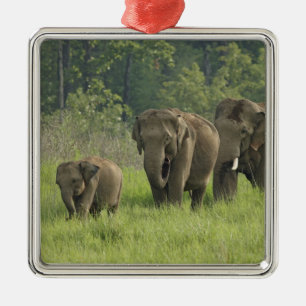 Indische Olifantenfamilie Metalen Ornament