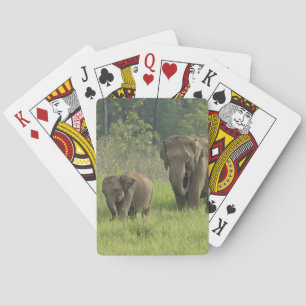 Indische Olifantenfamilie Pokerkaarten