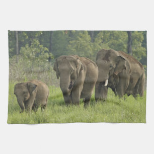 Indische Olifantenfamilie Theedoek