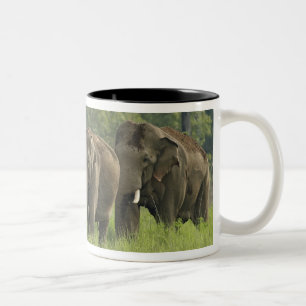 Indische Olifantenfamilie Tweekleurige Koffiemok