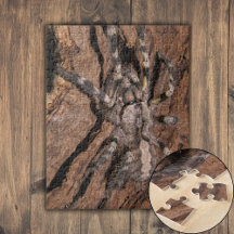 Indische ornamental Tarantula Bark