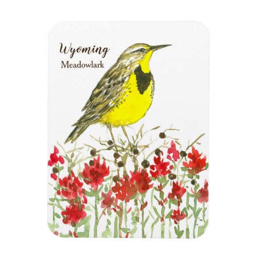 Indische Paintborstel Meadowlark Wyoming Magneet (Verticaal)