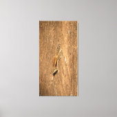 Indische palmvierkant op een boomstam canvas afdruk (Voorkant)