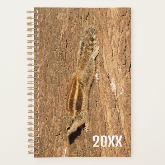 Indische palmvierkant op een boomstam planner (Voorkant)