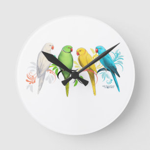Indische Papegaaien Ringneck Ronde Klok