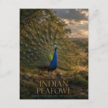 Indische Pauw Bosrand DIEREN