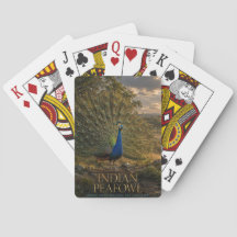 Indische Pauw Bosrand DIEREN Poker