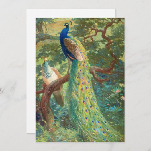 Indische Pauw | Charles Robert Knight (Voorkant / Achterkant)