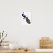 Indische pauw poster (Keuken)
