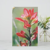 Indische penseel briefpapier (Staand voorkant)