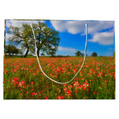 Indische penseel groot cadeauzakje (Achterkant)