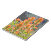 Indische penseel notitieblok (Gedraaid)