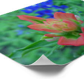 Indische penseel poster (Hoek)