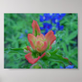 Indische penseel poster (Voorkant)