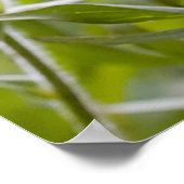 Indische penseel poster (Hoek)