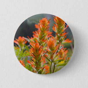 Indische penseel ronde button 5,7 cm