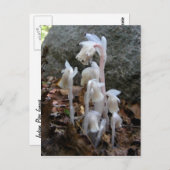 Indische pijp 27 ~ briefkaart (Voorkant / Achterkant)