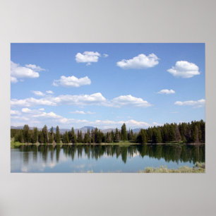 Indische Pond Poster