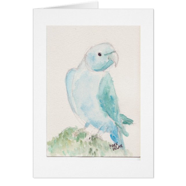 Indische ringhalspalk (Voorkant)