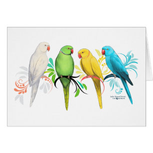 Indische ringneparrots