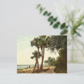 Indische rivier Florida 1898 foto Briefkaart (Staand voorkant)