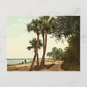 Indische rivier Florida 1898  foto Briefkaart