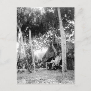 Indische rivier, Florida Getaway: jaren '90 Briefkaart