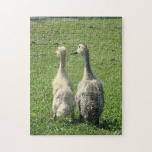 Indische Runner Ducklings Legpuzzel
