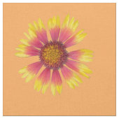 Indische tapeontwerpstructuur stof (Close Up)