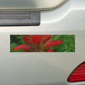 Indische verfborstel bumpersticker (Op auto)