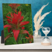 Indische verfborstel fotoplaat (Zijkant)