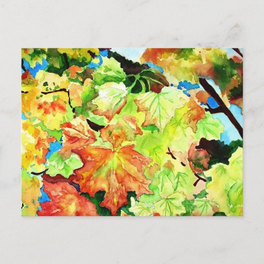 Indische zomer briefkaart (Voorkant)