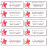 Individuele Mailadressen Plumeria Flower Sticker (Voorkant)