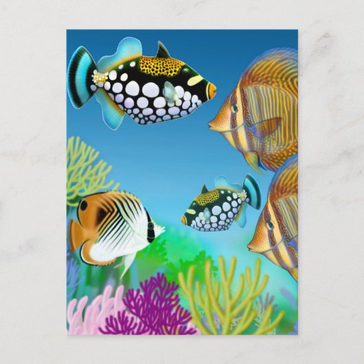 Indo Pacific Reef Fish Briefkaart (Voorkant)