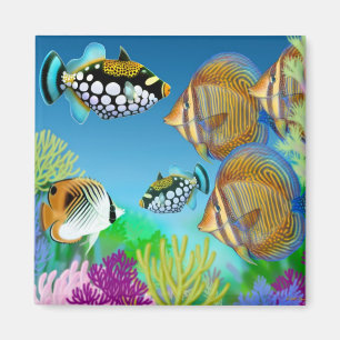 Indo Pacific Reef Fish Magnet Magneet