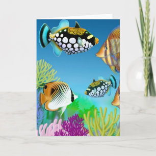 Indo Pacific Reef Fish Wenskaart Kaart
