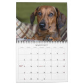 Indomitable Dachshunds Aangepast jaar Kalender (Mar 2027)