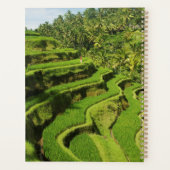 Indonesië, Bali | Rijstpaddies Planner (Achterkant)