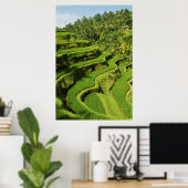 Indonesië, Bali | Rijstpaddies Poster (Thuiskantoor)