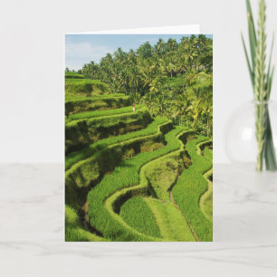 Indonesië, Bali Rijstpasta's Kaart