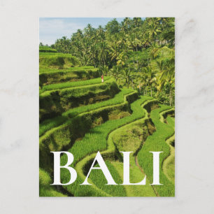 Indonesië, Bali   Rijstvelden Briefkaart