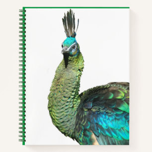 Indonesisch Notitieboek van het Peacock Face
