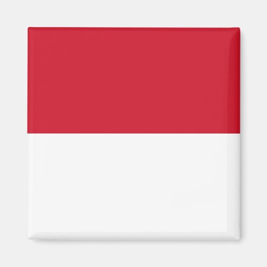 Indonesische (Indonesische) vlag Magneet (Voorkant)